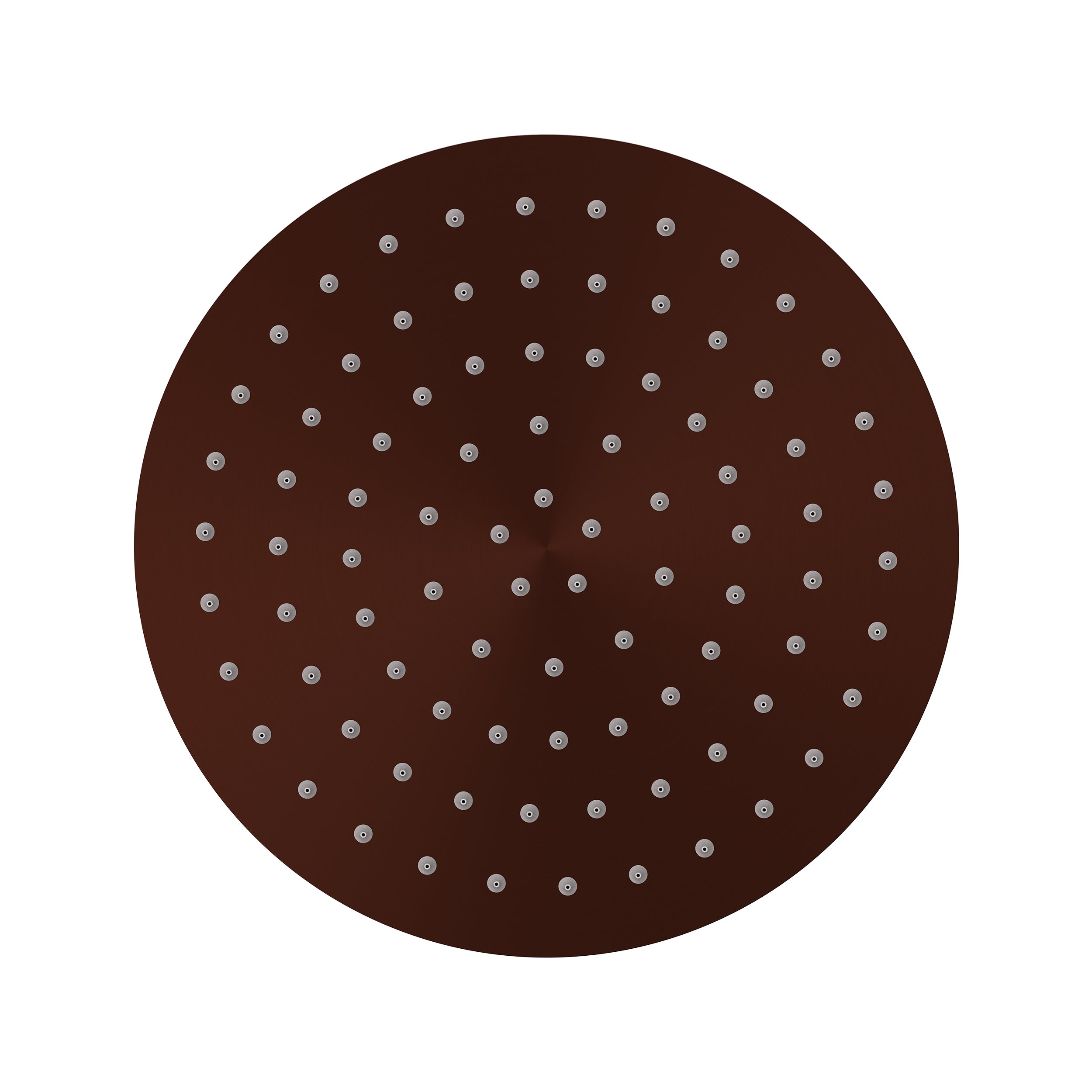 Elanna Rain Shower Head 250 Round - Chocolate Bronze