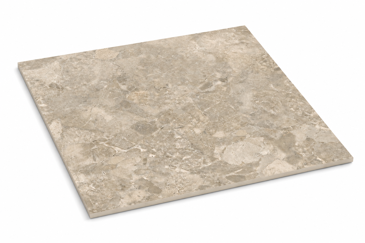 Albany Greige Stone Look Tile