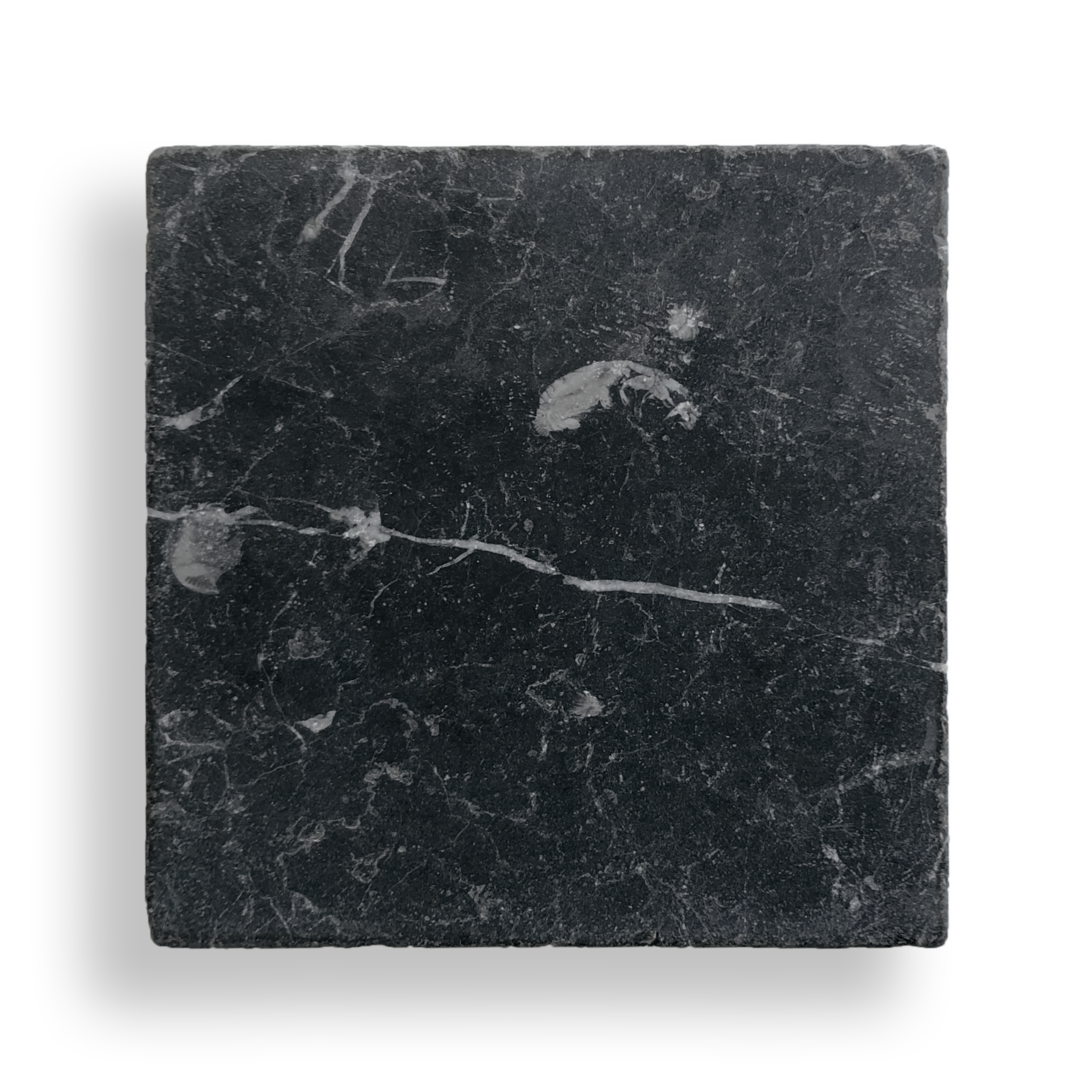 BURLEIGH NERO MARQUINA MARBLE HONED NATURAL STONE SQUARE TILE - Sample