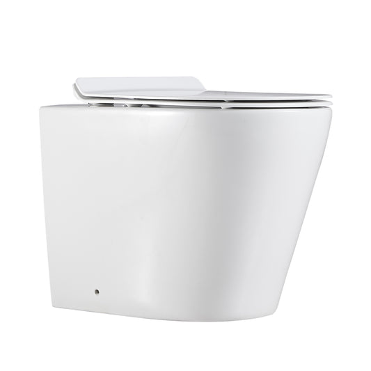 Agena Rimless Wall Faced Floor Toilet Pan LK-AG104WFP