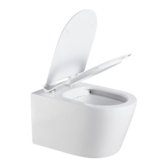 Agena Rimless Wall Hung Toilet Pan LK-AG104WHP
