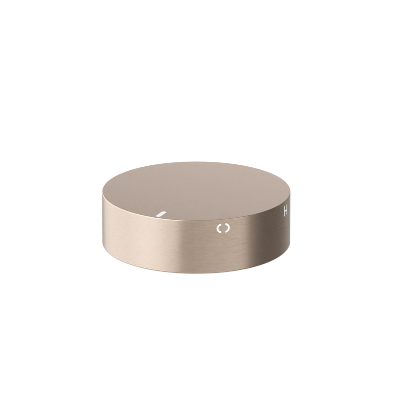 Progressive mixer (in-wall body and Trim set) - Champagne