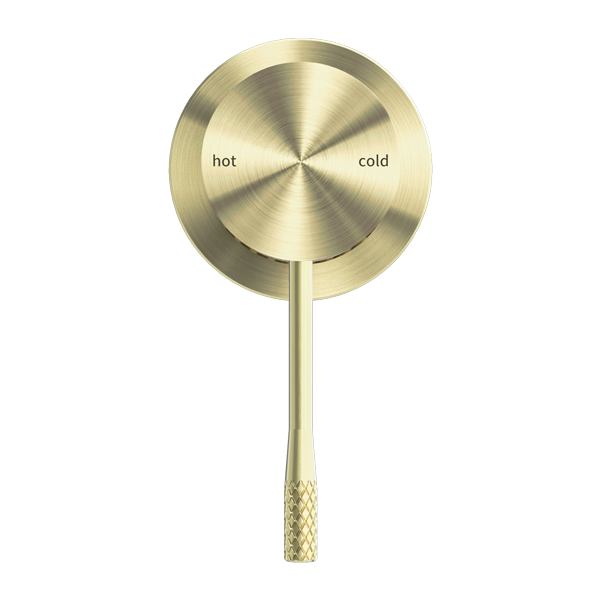 Opal Shower Mixer 60MM Plate Brushed Gold — Gold & Brass