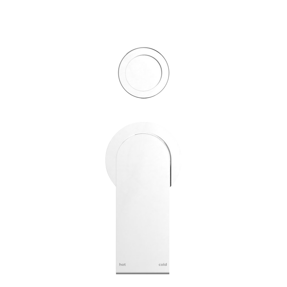 Bianca Shower Mixer With Divertor Separate Back Plate Chrome — Chrome & Stainless