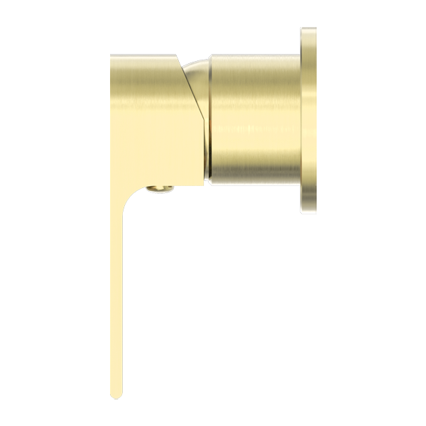 Bianca Shower Mixer 60MM Plate Brushed Gold — Gold & Brass