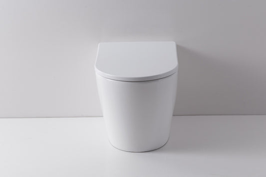 Renee Wall Faced Pan & Geberit In-Wall Cistern & Round Buttons