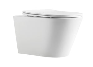 Glossary White