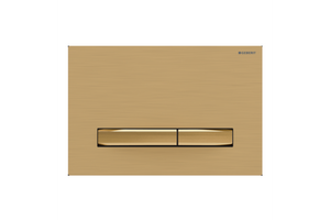 Brushed Brass