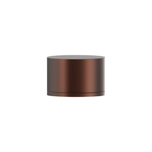 Chocolate Bronze