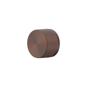 Chocolate Bronze