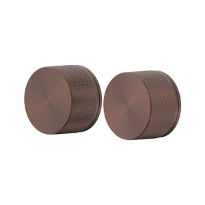 Chocolate Bronze
