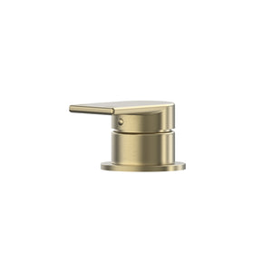 Brushed Gold [PVD]