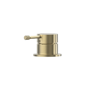 Brushed Gold [PVD]
