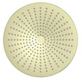 OPAL 250MM SHOWER HEAD CHROME (NR508079CH) BRUSHED GOLD