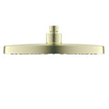 OPAL 250MM SHOWER HEAD CHROME (NR508079CH) BRUSHED GOLD