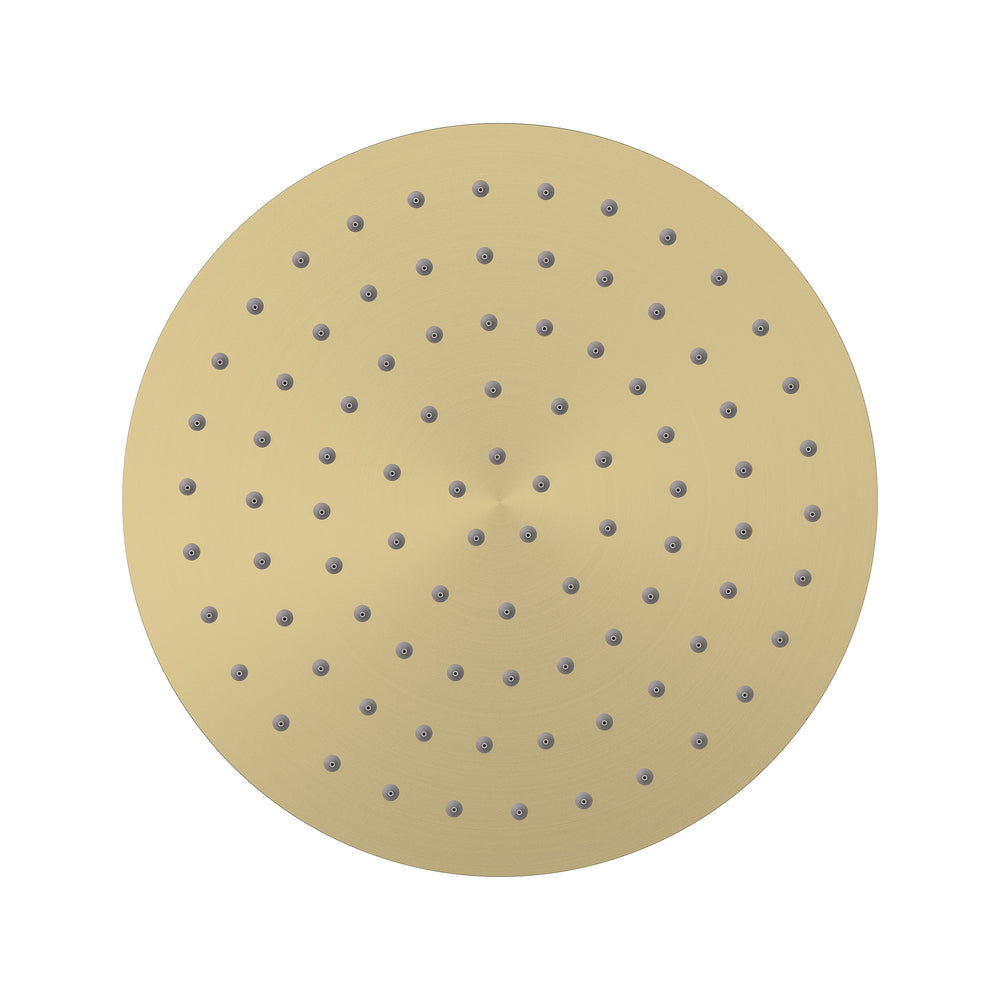 Elanna Rain Shower Head 250 Round - Brushed Gold [PVD]