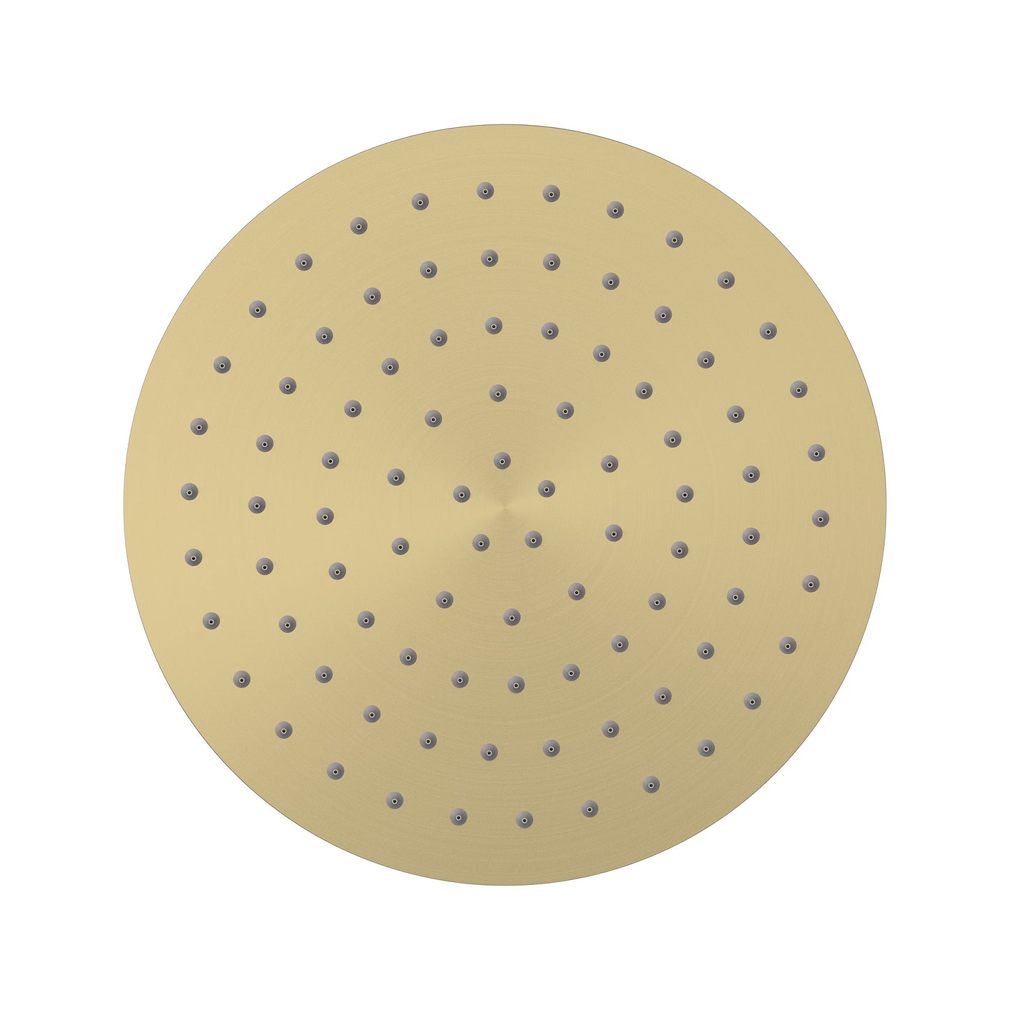 Elanna Rain Shower Head 250 Round - Brushed Gold [PVD]
