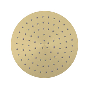 Brushed Gold [PVD]