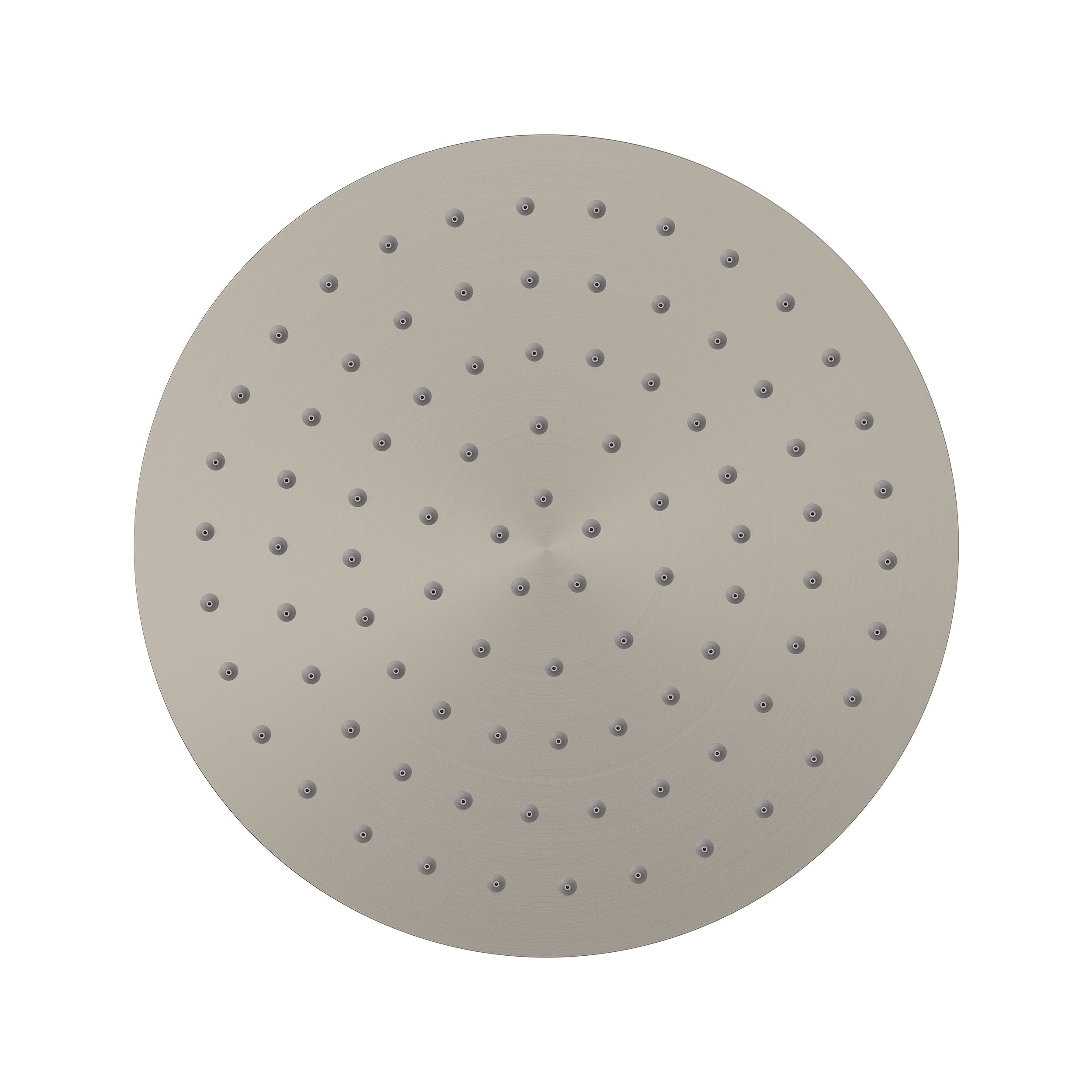 Elanna Rain Shower Head 250 Round - Brushed Nickel [PVD]