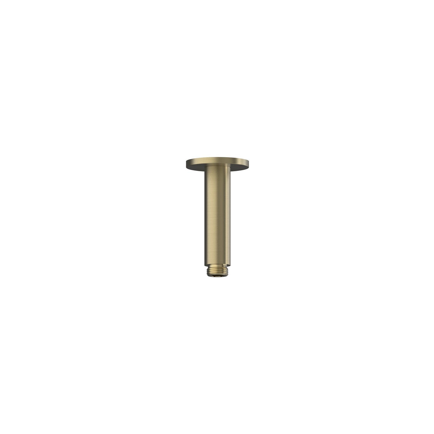 Elanna Ceiling Arm 100 - Brushed Gold [PVD]