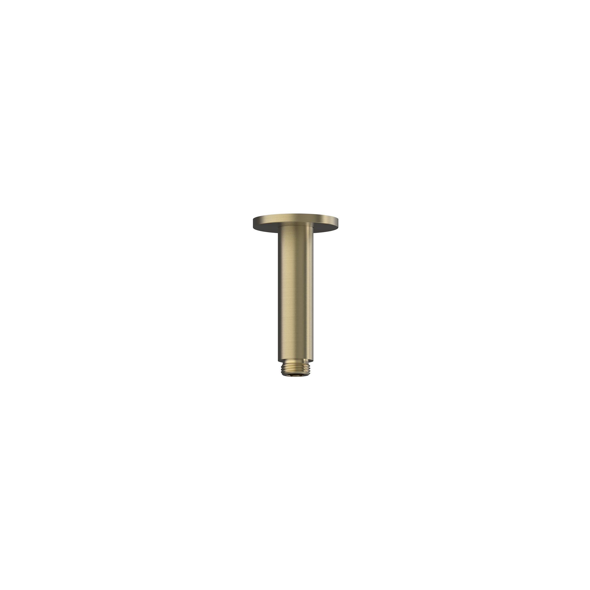 Elanna Ceiling Arm 100 - Brushed Gold [PVD]