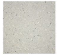 Donatella Silver Grey Terrazzo Look Tile