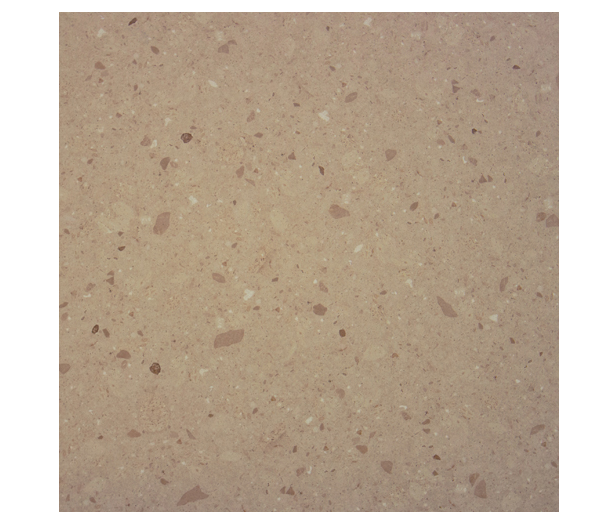 DONATELLA TERRACOTTA TERRAZZO LOOK TILE