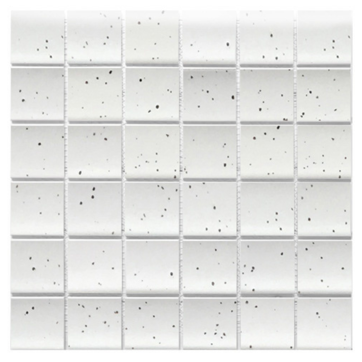KYOTO SPECKLE WHITE JAPANESE LOOK SQUARE MOSAIC TILE - Sample