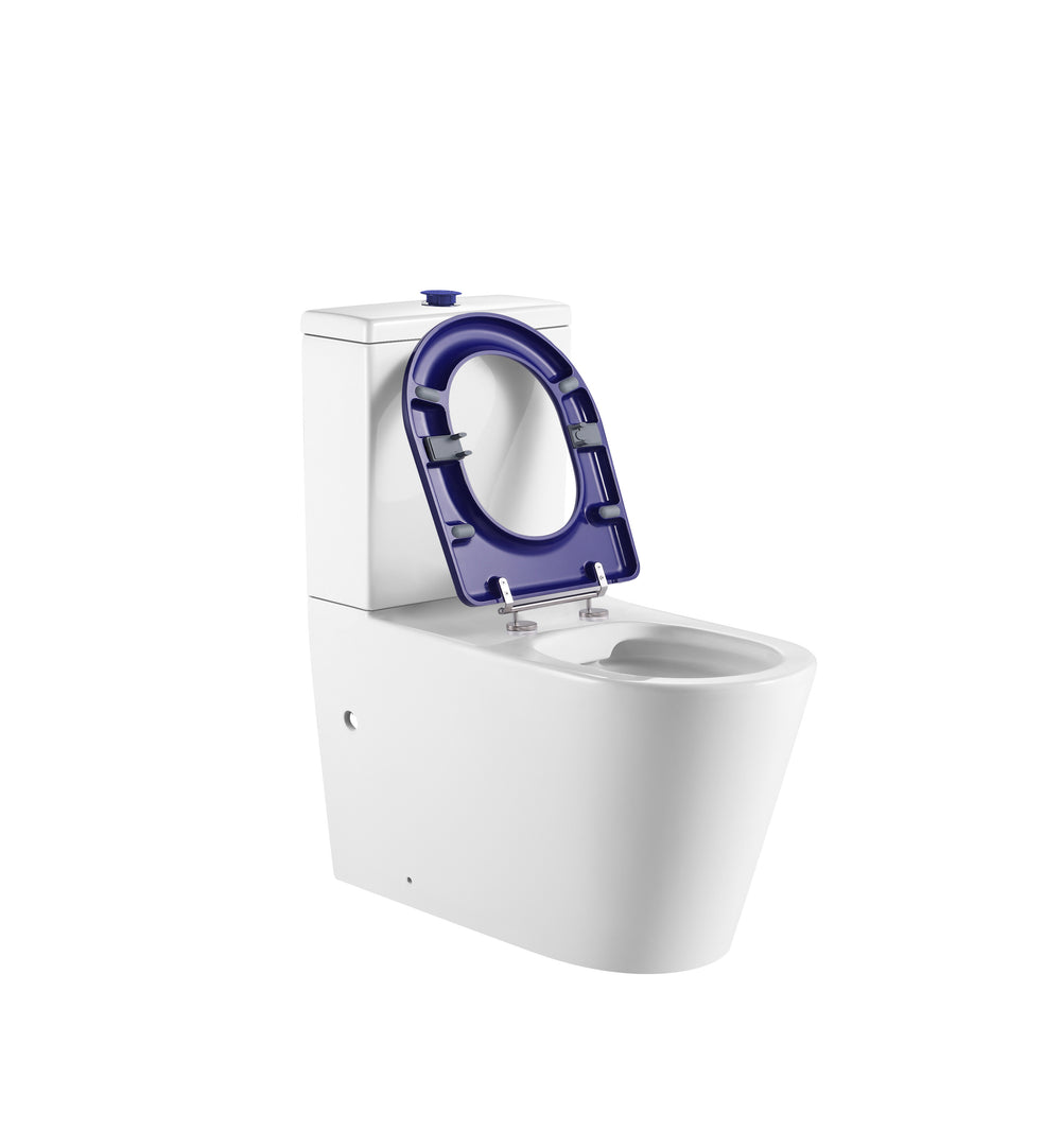 Hadden Care Cistern with Blue Button LK-HD023C-BLUE