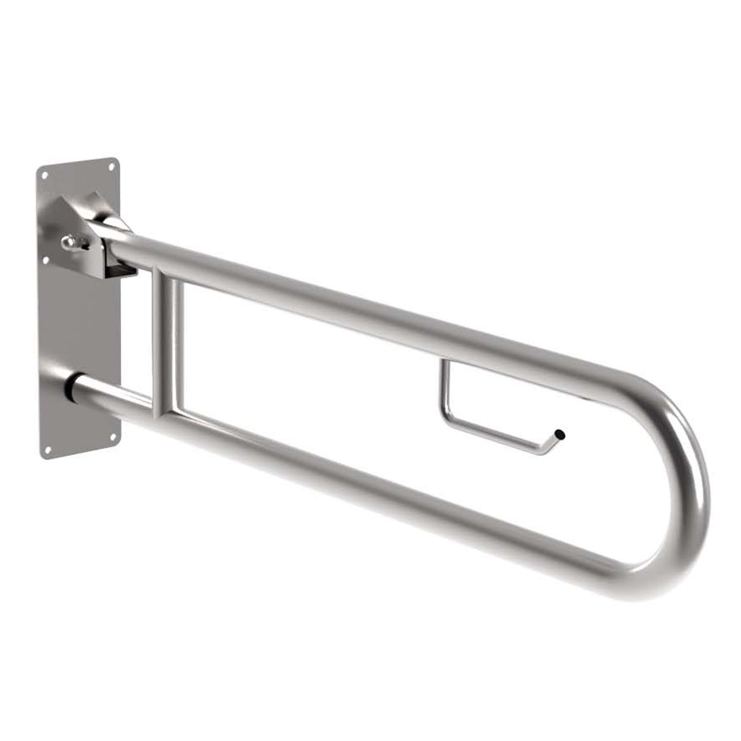Bradley Australia MAPS Drop Down Grab Rail with Toilet Roll Holder