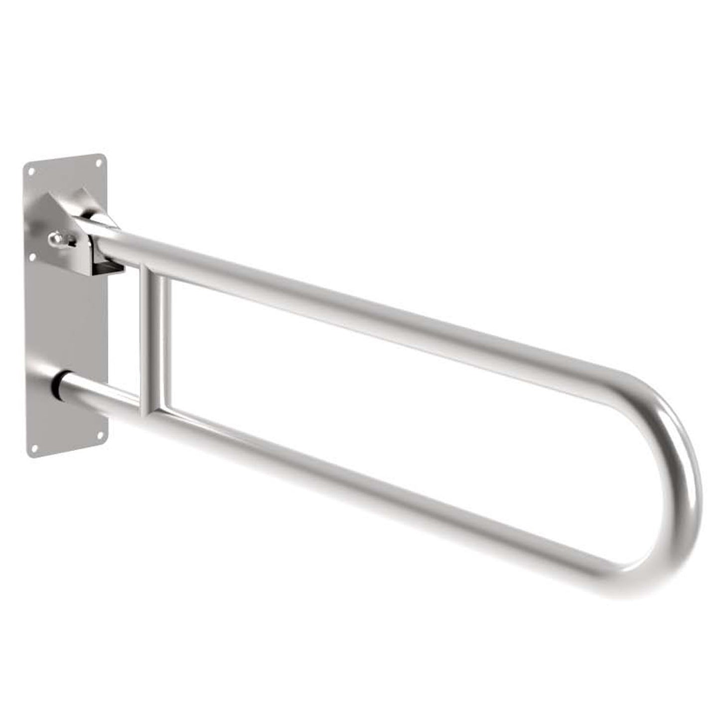 Bradley Australia MAPS Drop Down Grab Rail with Toilet Roll Holder