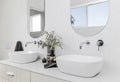 Meir Universal Round Curved Spout
