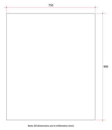 MS9075GT Rectangle 25mm Bevel Edge Mirror