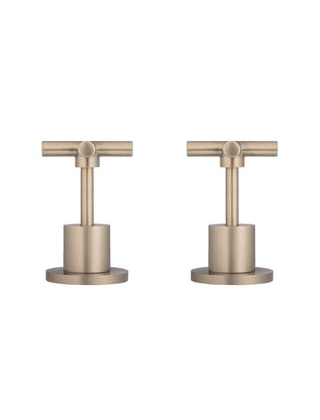 Round Cross Handle Jumper Valve Wall Top Assemblies - Champagne