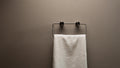 ZEN SS316L HAND TOWEL RING BRUSHED NICKEL