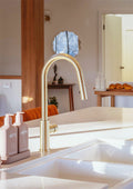 MECCA PULL OUT SINK MIXER WITH VEGIE SPRAY FUNCTION BRUSHED GOLD
