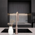 MECCA PULL OUT SINK MIXER WITH VEGIE SPRAY FUNCTION BRUSHED BRONZE