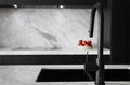 MECCA PULL OUT SINK MIXER WITH VEGIE SPRAY FUNCTION MATTE BLACK
