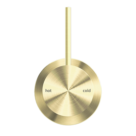 MECCA SHOWER MIXER 60MM HANDLE UP PLATE BRUSHED GOLD