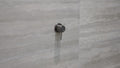 MECCA SHOWER MIXER 60MM PLATE GUN METAL