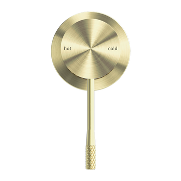 Opal Shower Mixer 60MM Plate Brushed Gold — Gold & Brass