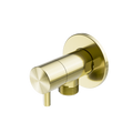 MINI CISTERN STOP BRUSHED GOLD