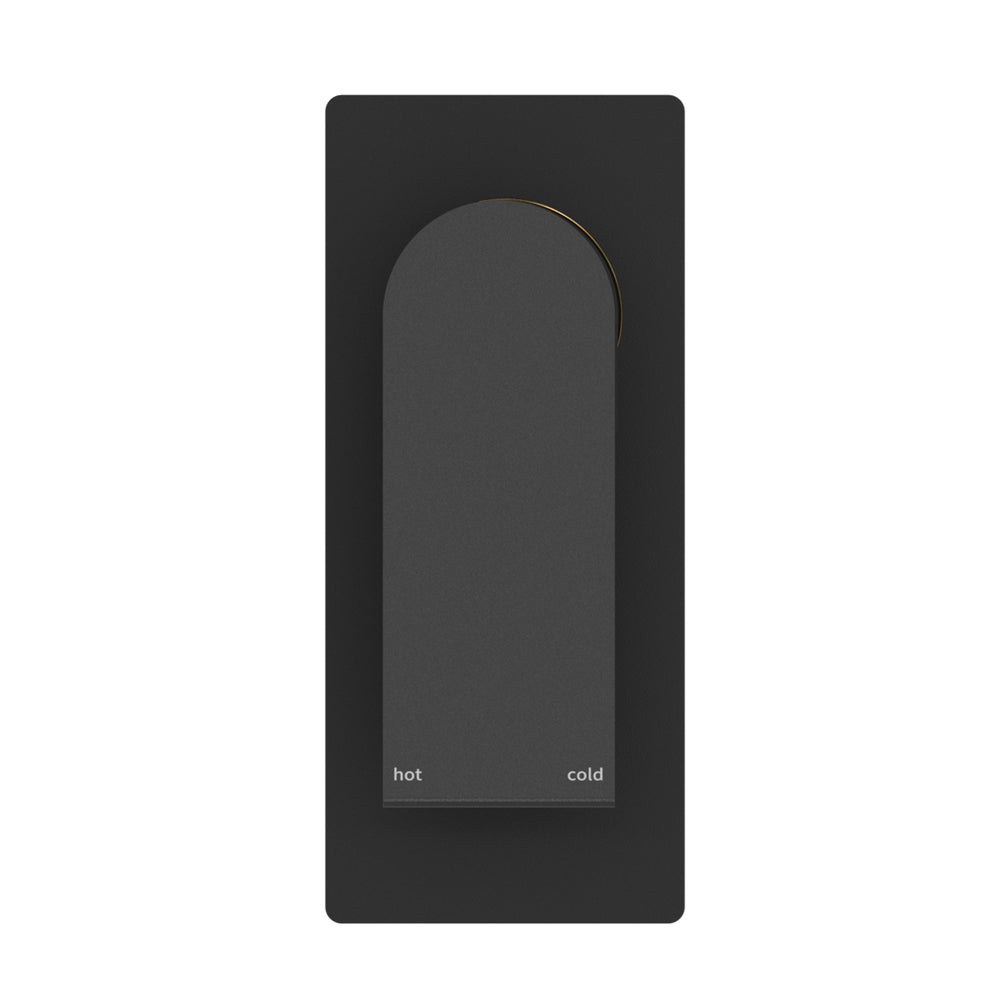 Bianca Shower Mixer Matte Black