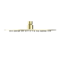 250MM ROUND STAINLESS STEEL SHOWER HEAD 4 STAR RATING BRUSHED GOLD
