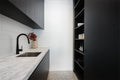 DOLCE PULL OUT SINK MIXER WITH VEGIE SPRAY FUNCTION MATTE BLACK