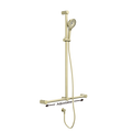 MECCA CARE 32MM T BAR GRAB RAIL AND ADJUSTABLE SHOWER SET 1100X750MM BRUSHED GOLD