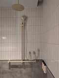 MECCA CARE 32MM T BAR GRAB RAIL AND ADJUSTABLE SHOWER SET 1100X750MM BRUSHED GOLD