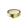 100MM ROUND TILE INSERT FLOOR WASTE 50MM OUTLET BRUSHED GOLD