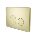 IN WALL TOILET PUSH PLATE BRUSHED GOLD
