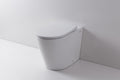Renee Wall Faced Pan & Geberit In-Wall Cistern & Round Buttons